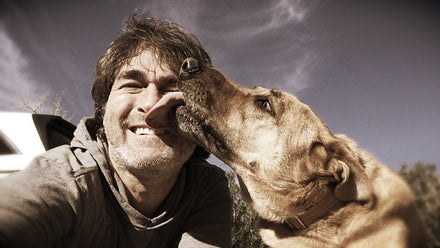 15 Fun Ways To Make Money As A Dog Lover