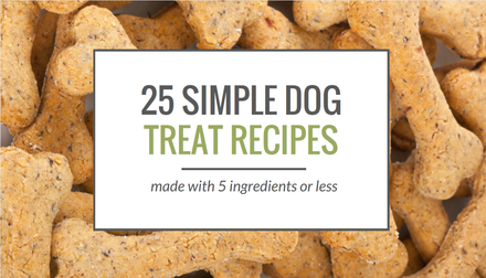 25 Simple Dog Treat Recipes: 5 Ingredients or Less