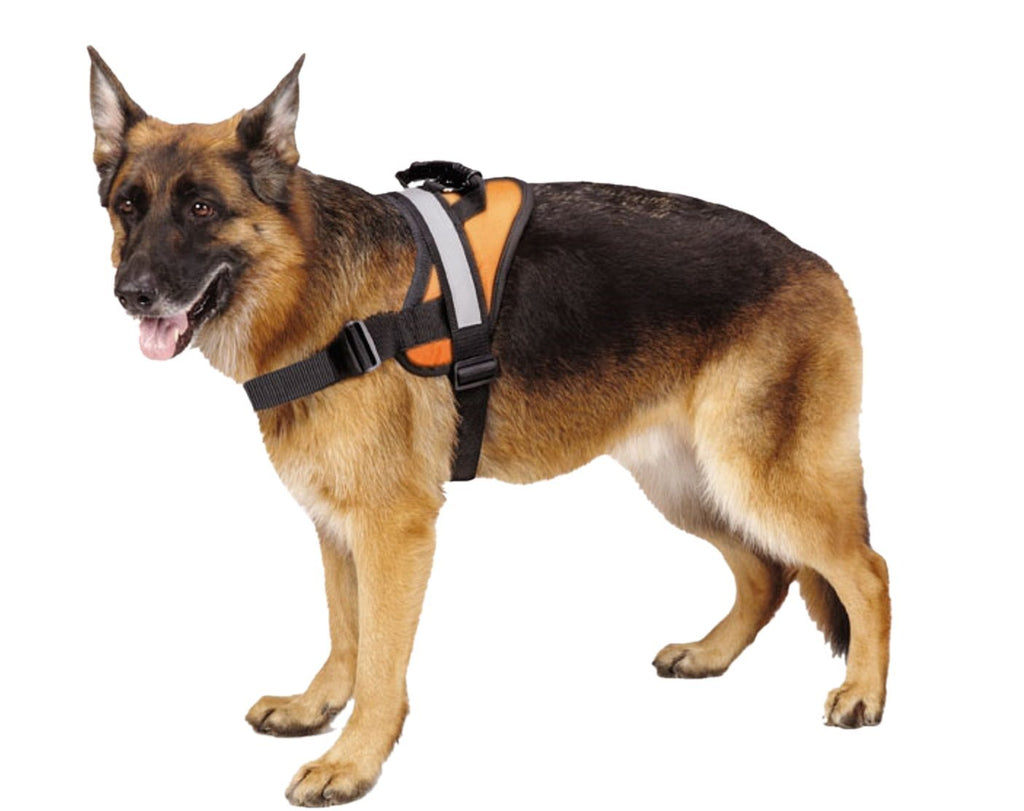 Big Dog Harness Orange