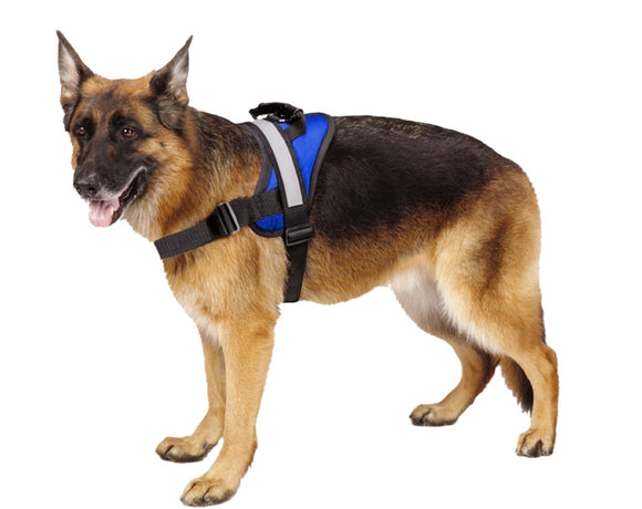 Big Dog Harness