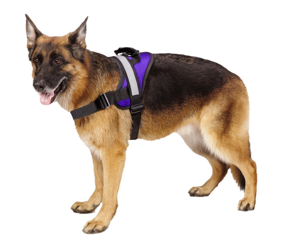 Big Dog Harness Purple