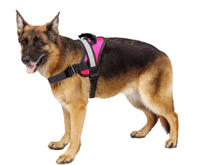 Big Dog Harness Pink