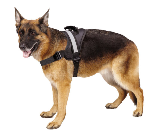 Big Dog Harness Black