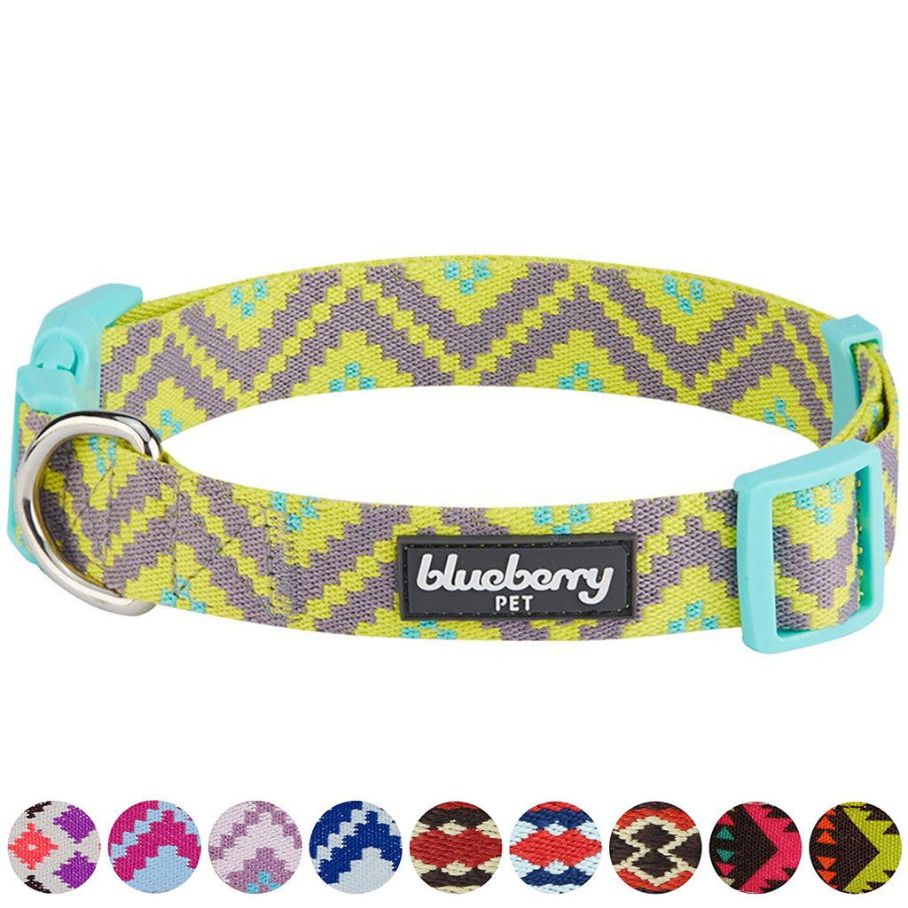 Blueberry Dog Collar Green