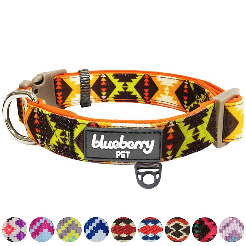 Blueberry Dog Collar Orange