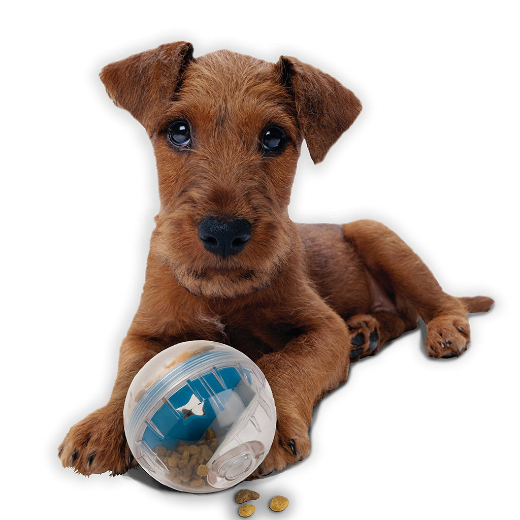 Pet Zone IQ Treat Ball