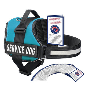 Service Dog Harness Blue